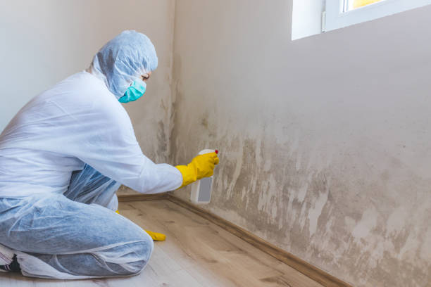 Best Residential Mold Removal  in Russell, KS