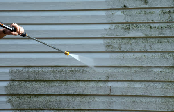 Home Mold Removal in Russell, KS