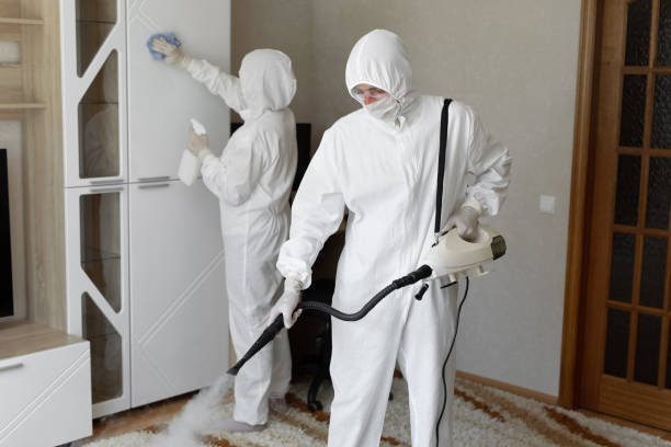 Best Crawl Space Mold Removal  in Russell, KS