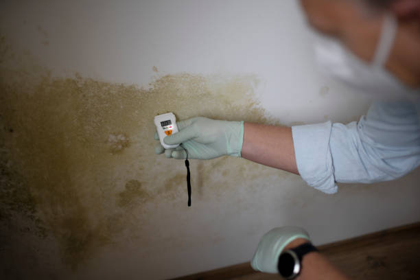 Attic Mold Removal in Russell, KS