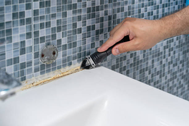 Best Home Mold Removal  in Russell, KS