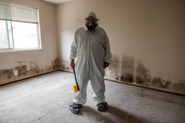 Best Attic Mold Removal  in Russell, KS